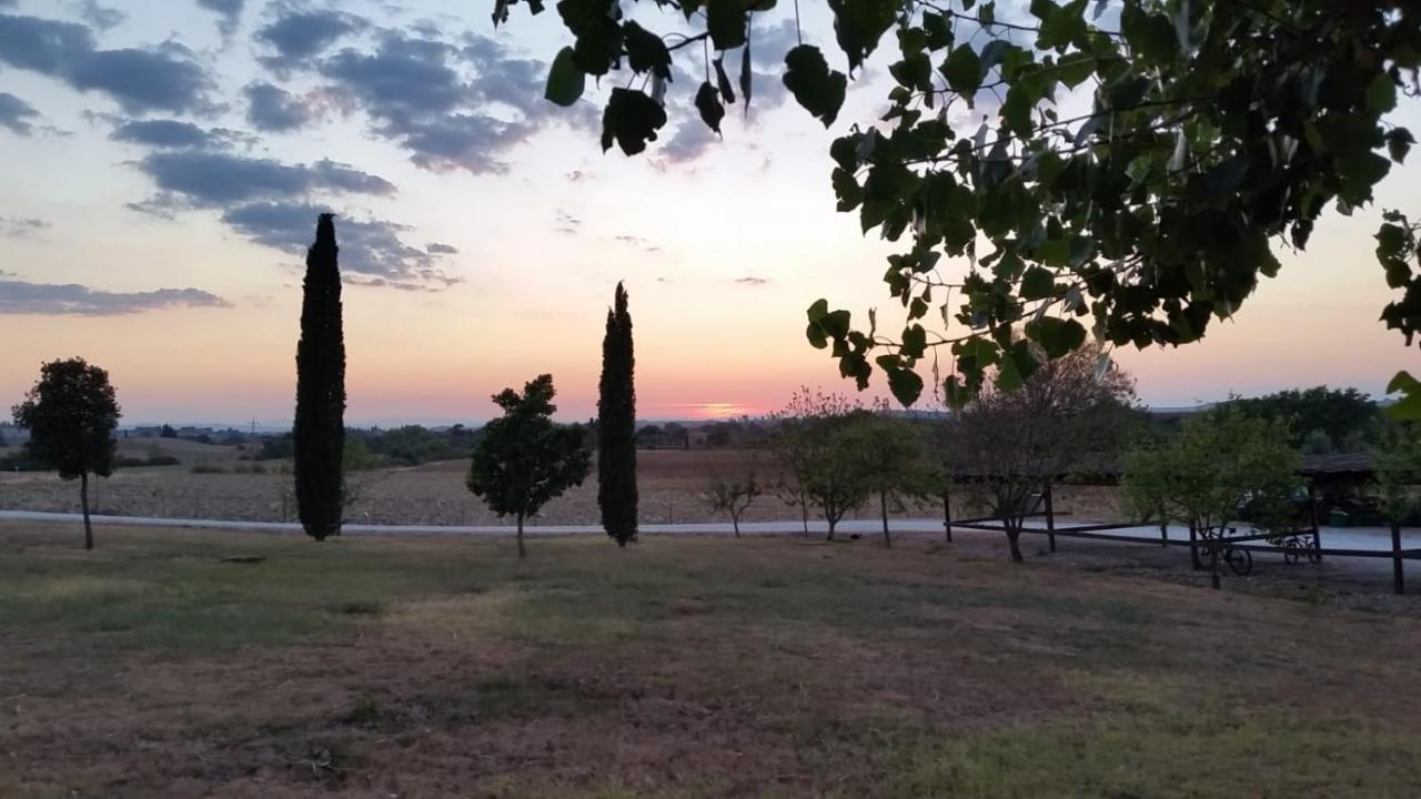 Casa Country House Girasole Vakantie Huis-Wakacje Huis Asciano Luaran gambar