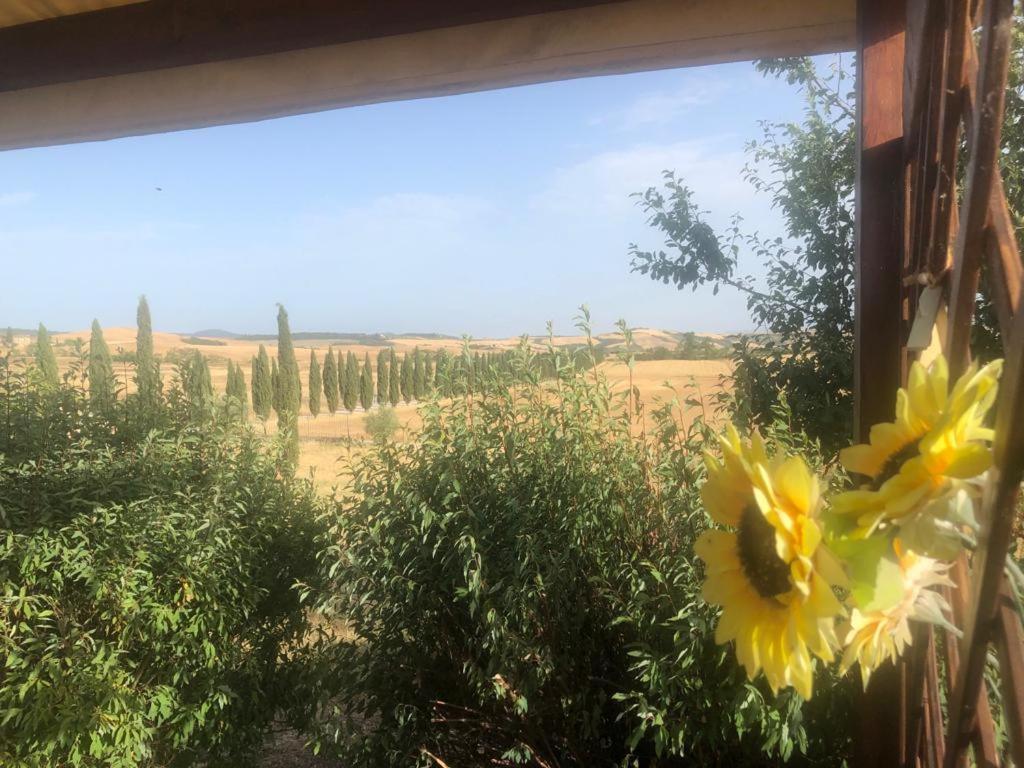Casa Country House Girasole Vakantie Huis-Wakacje Huis Asciano Luaran gambar