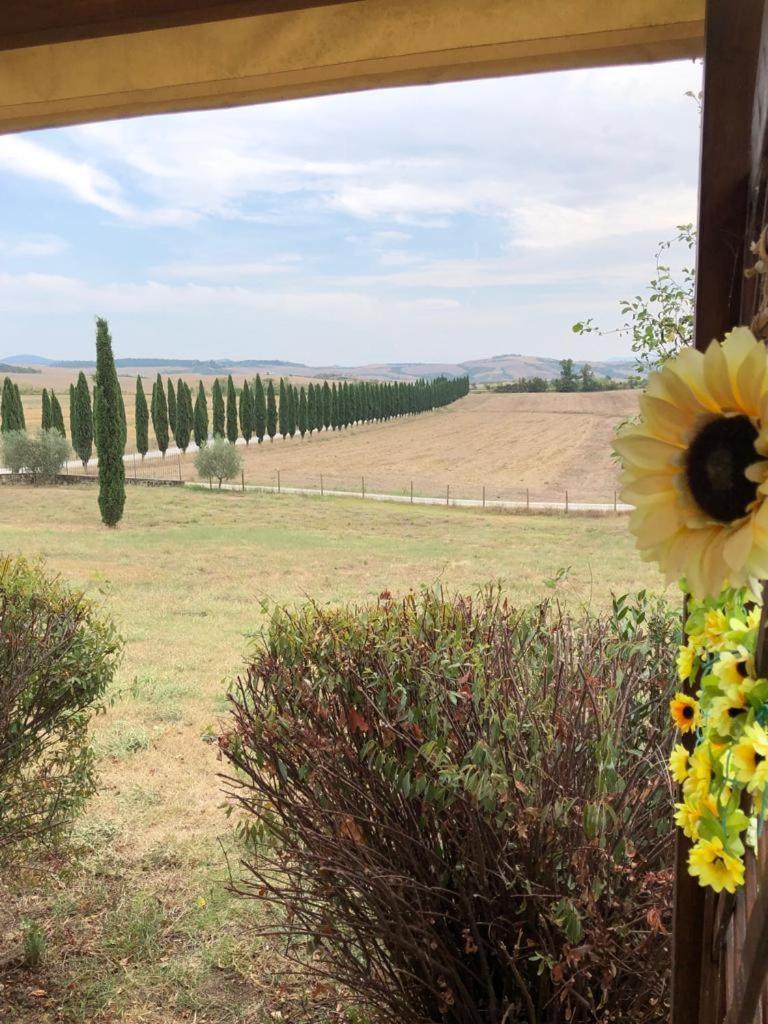 Casa Country House Girasole Vakantie Huis-Wakacje Huis Asciano Luaran gambar