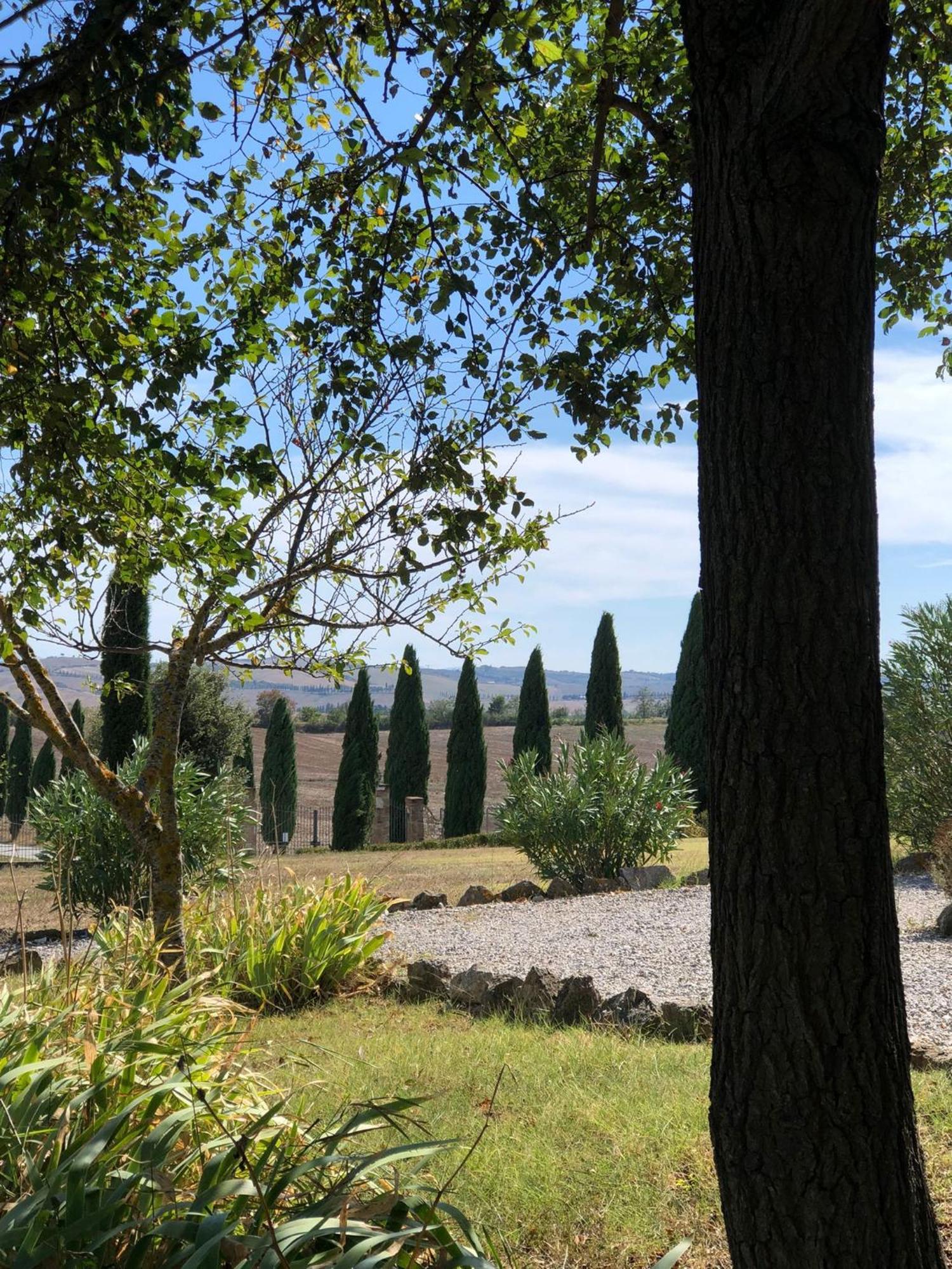 Casa Country House Girasole Vakantie Huis-Wakacje Huis Asciano Luaran gambar